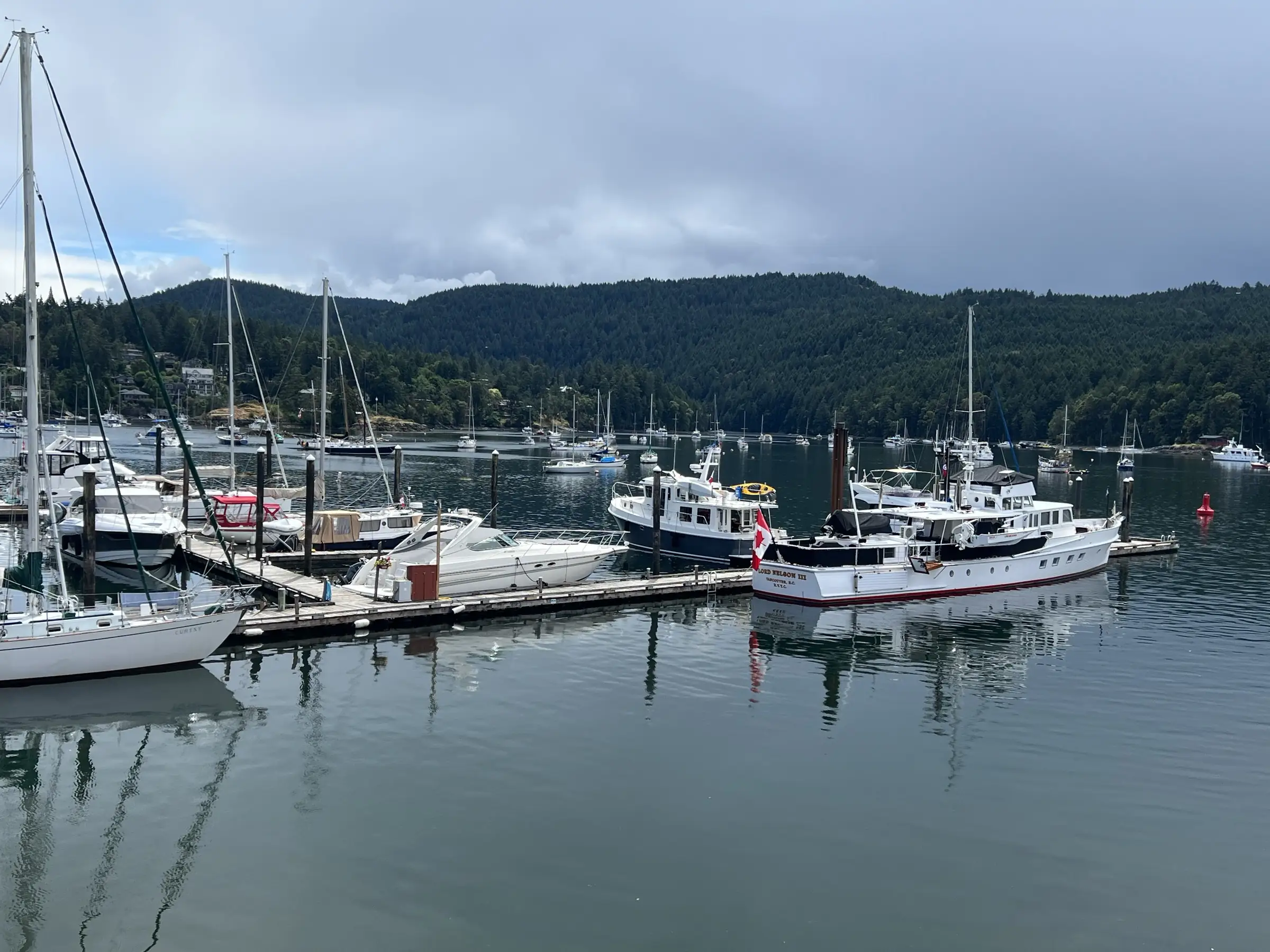 Yachts moored in a Pacific Northwest harbor